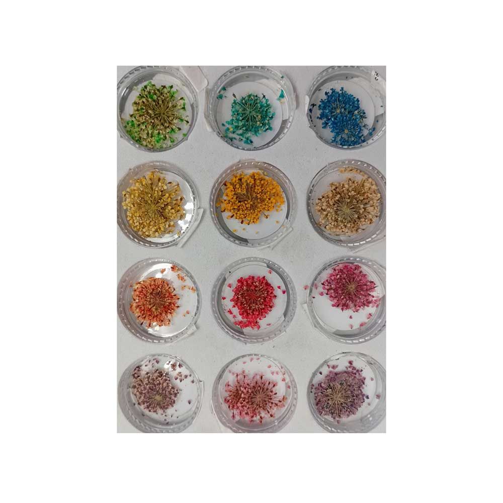 دیزاین گل خشک مخصوص ناخن