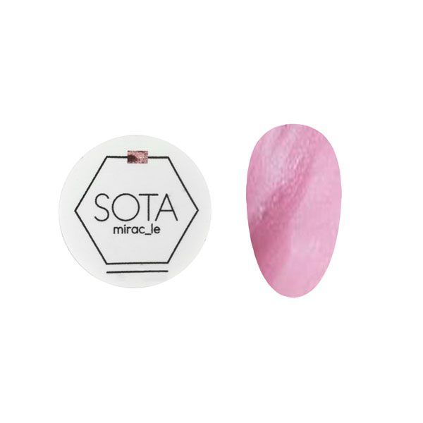 پلاستیک ژل آدامسی Miracle سوتا 5 گرم Sota